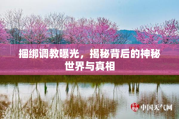 捆绑调教曝光，揭秘背后的神秘世界与真相