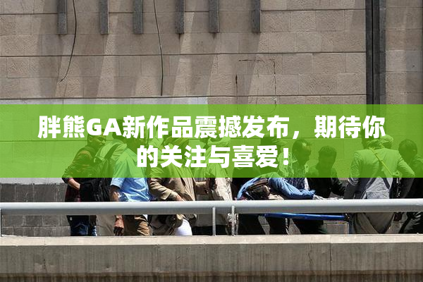 胖熊GA新作品震撼发布，期待你的关注与喜爱！