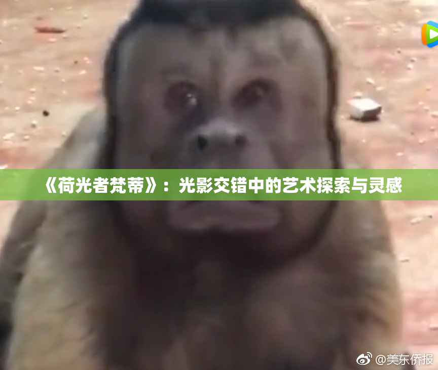 《荷光者梵蒂》：光影交错中的艺术探索与灵感