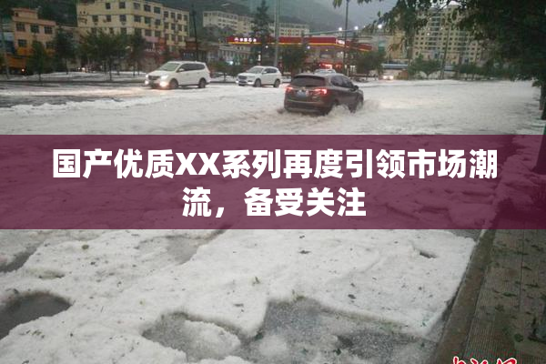 国产优质XX系列再度引领市场潮流，备受关注