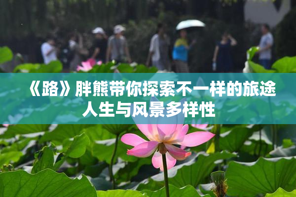 《路》胖熊带你探索不一样的旅途人生与风景多样性