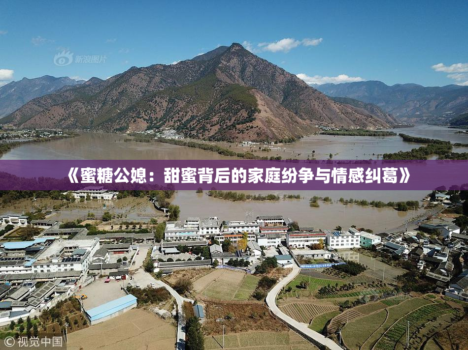 《蜜糖公媳：甜蜜背后的家庭纷争与情感纠葛》