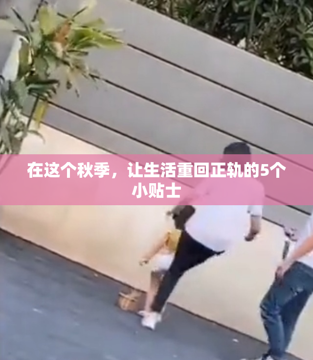 在这个秋季，让生活重回正轨的5个小贴士
