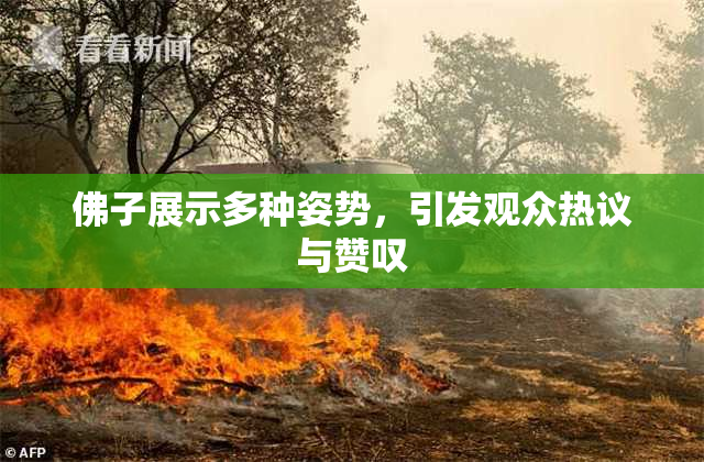 佛子展示多种姿势，引发观众热议与赞叹