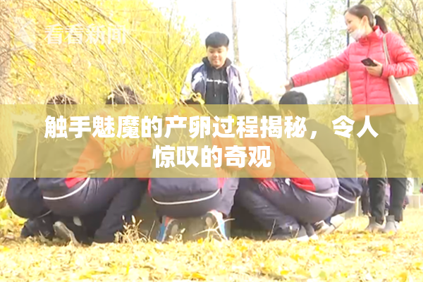 触手魅魔的产卵过程揭秘，令人惊叹的奇观
