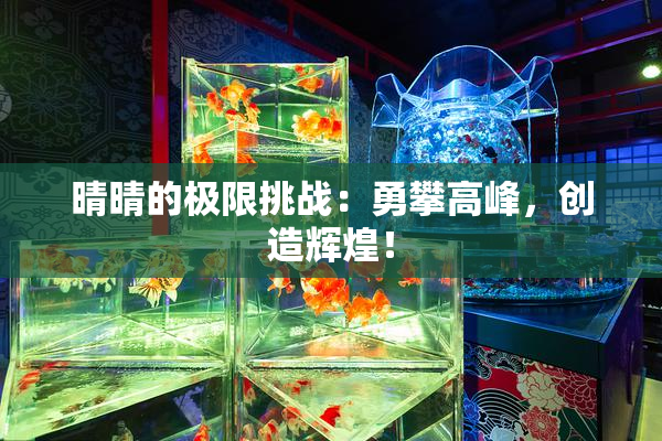 晴晴的极限挑战：勇攀高峰，创造辉煌！