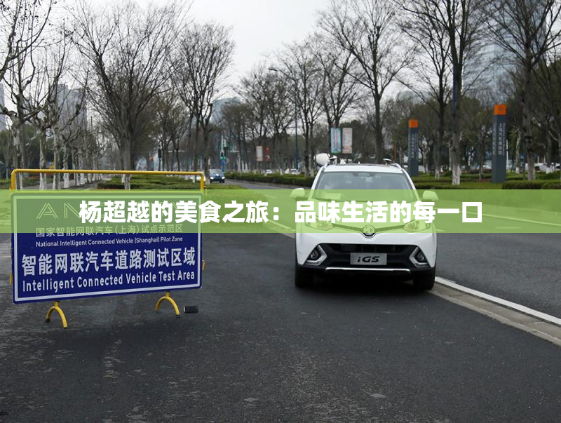 杨超越的美食之旅：品味生活的每一口