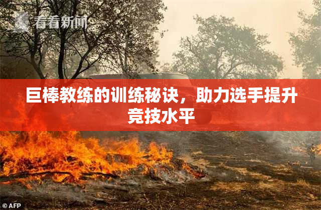 巨棒教练的训练秘诀，助力选手提升竞技水平