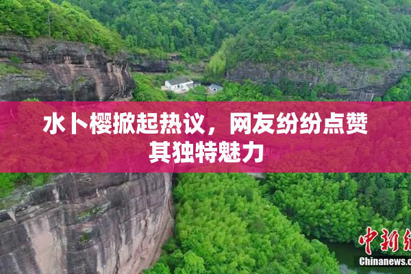 水卜樱掀起热议，网友纷纷点赞其独特魅力