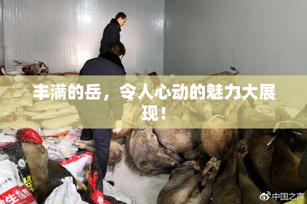 丰满的岳，令人心动的魅力大展现！