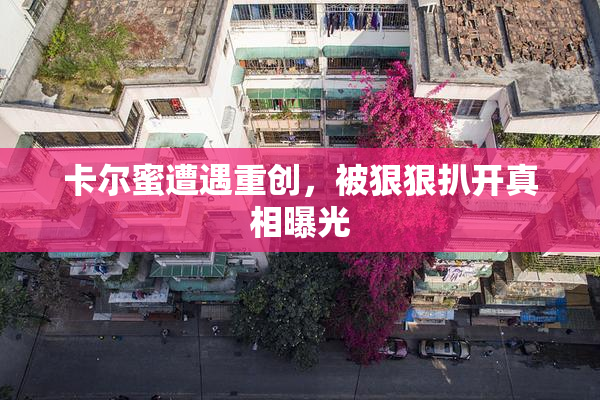 卡尔蜜遭遇重创，被狠狠扒开真相曝光