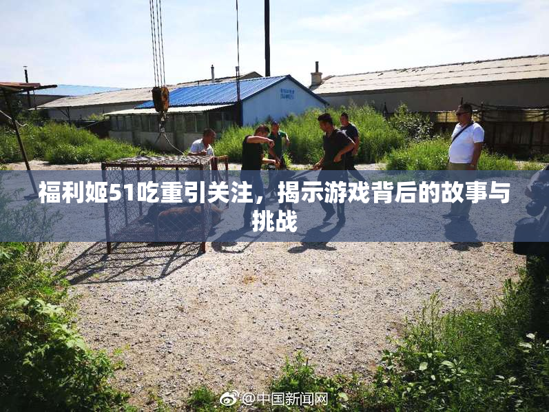 福利姬51吃重引关注，揭示游戏背后的故事与挑战