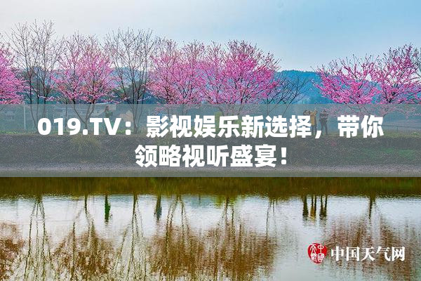 019.TV：影视娱乐新选择，带你领略视听盛宴！