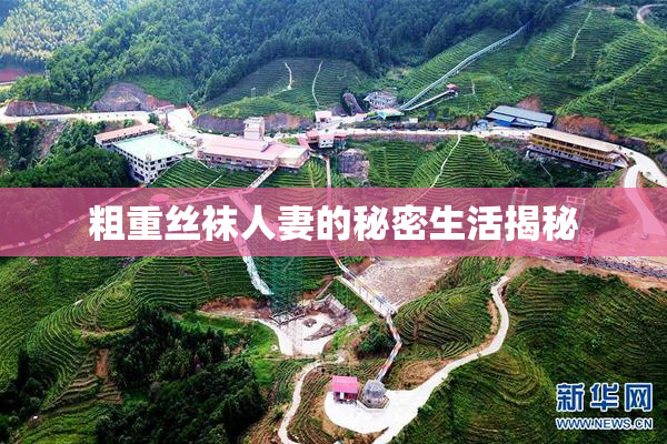 粗重丝袜人妻的秘密生活揭秘