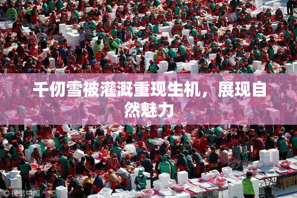 千仞雪被灌溉重现生机，展现自然魅力