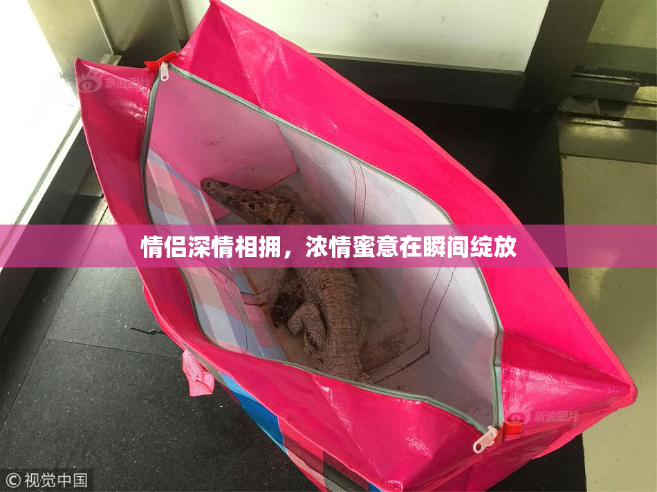 情侣深情相拥，浓情蜜意在瞬间绽放