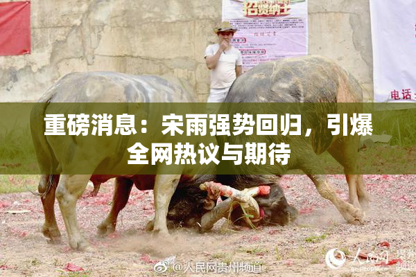 重磅消息：宋雨强势回归，引爆全网热议与期待