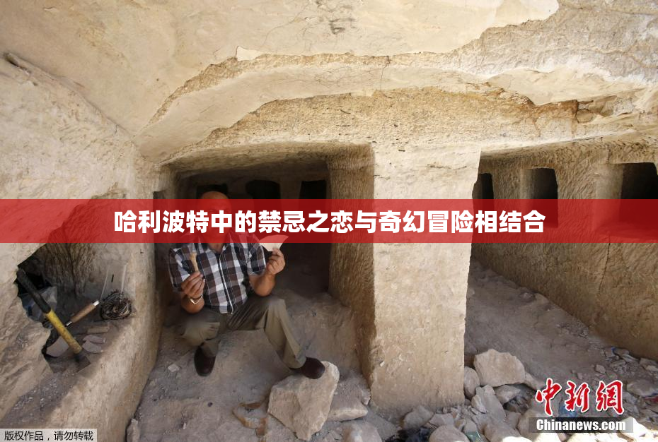 哈利波特中的禁忌之恋与奇幻冒险相结合