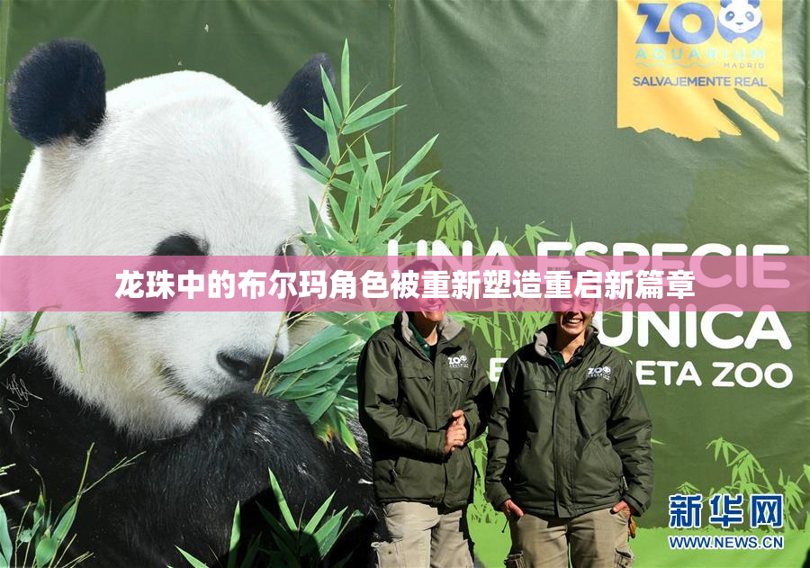 龙珠中的布尔玛角色被重新塑造重启新篇章