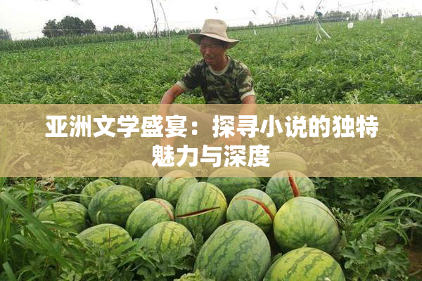 亚洲文学盛宴：探寻小说的独特魅力与深度