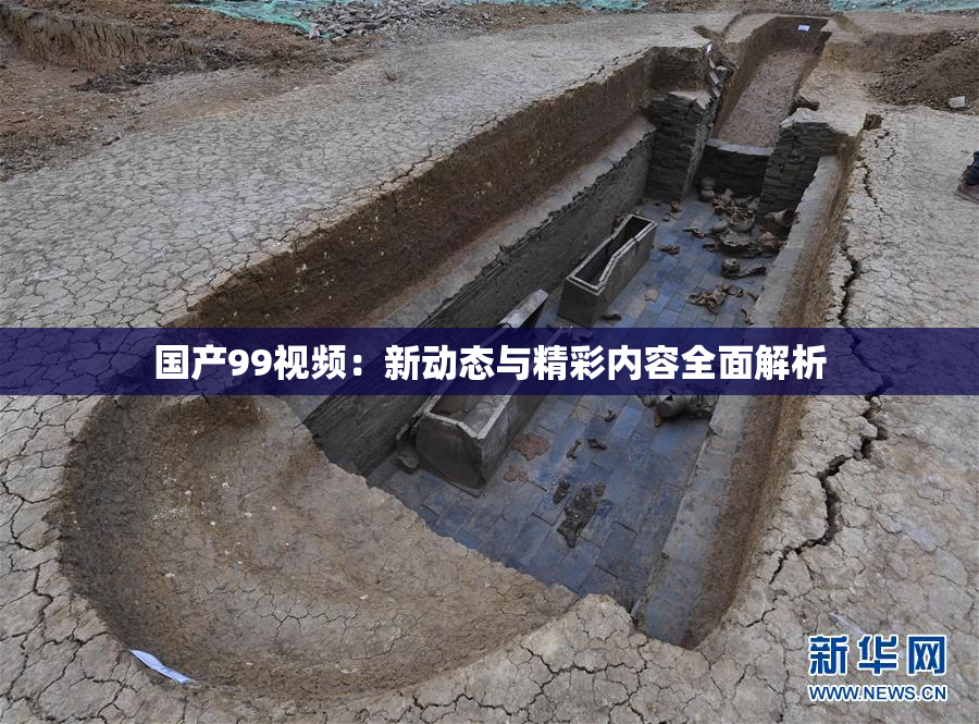国产99视频：新动态与精彩内容全面解析