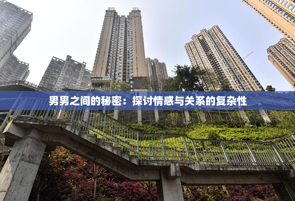 男男之间的秘密：探讨情感与关系的复杂性