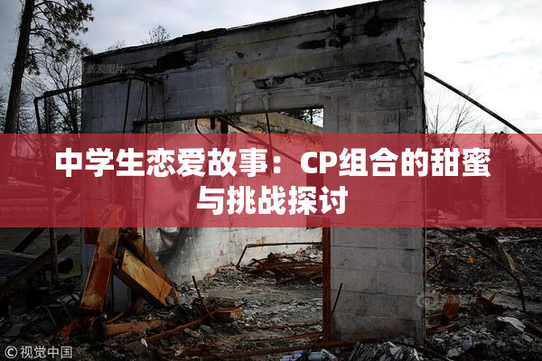 中学生恋爱故事：CP组合的甜蜜与挑战探讨