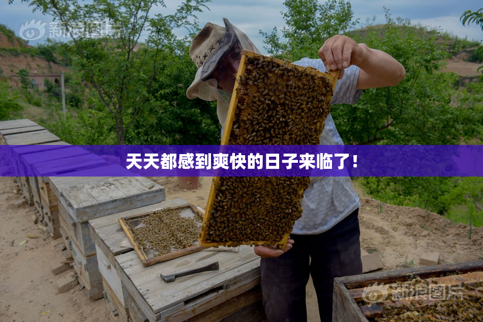 天天都感到爽快的日子来临了！