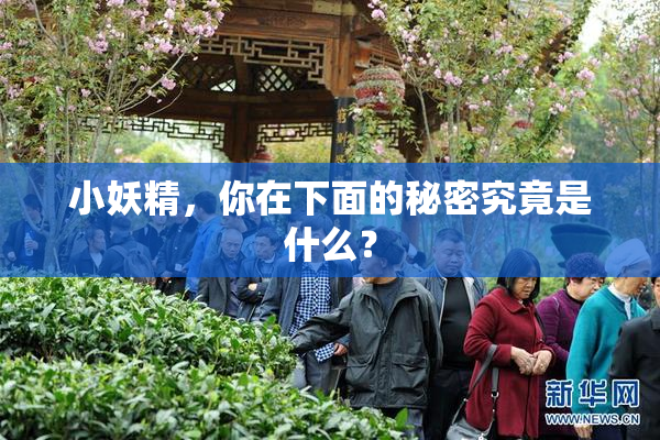 小妖精，你在下面的秘密究竟是什么？