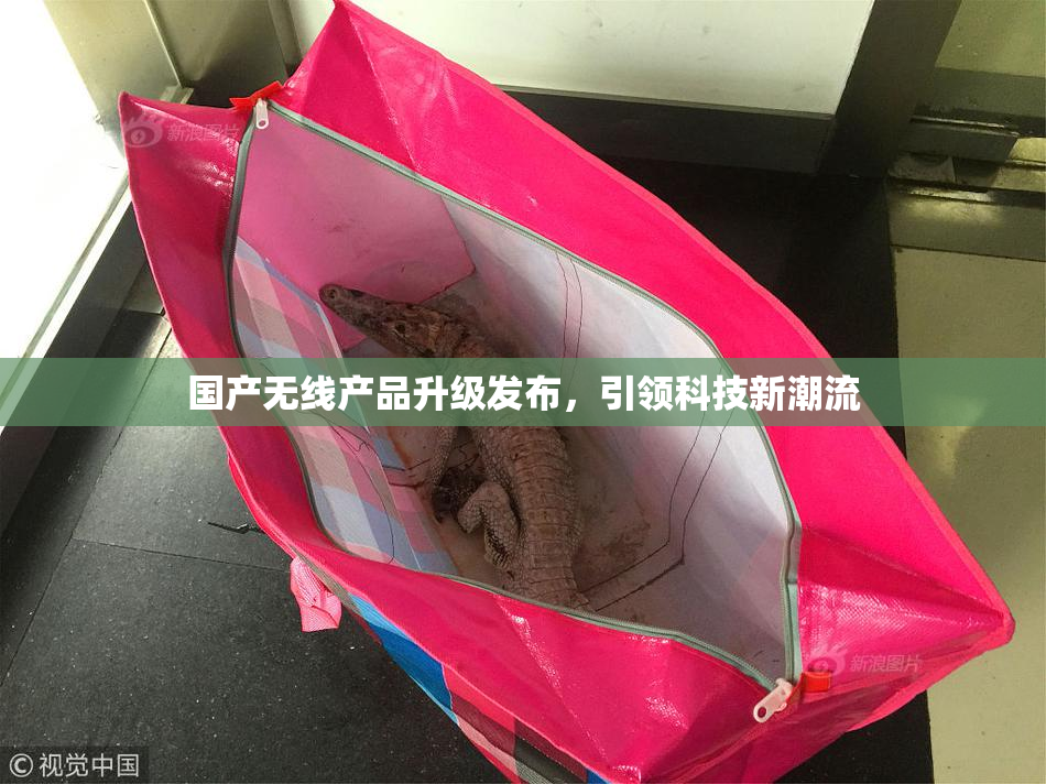 国产无线产品升级发布，引领科技新潮流