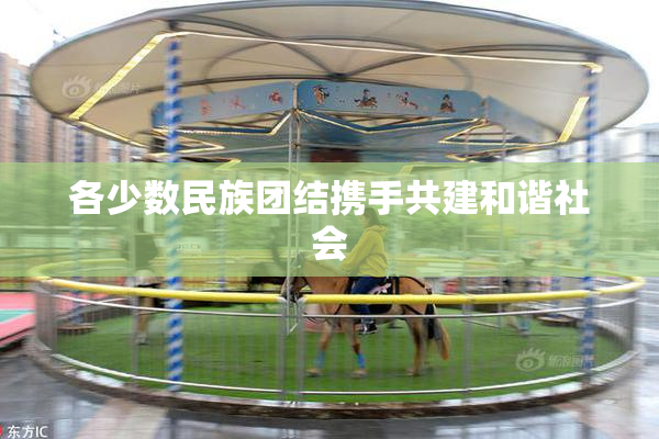 各少数民族团结携手共建和谐社会