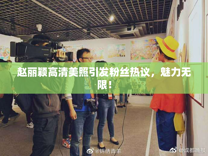 赵丽颖高清美照引发粉丝热议，魅力无限！