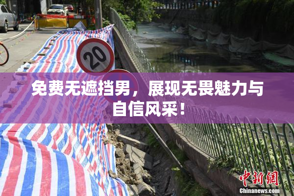 免费无遮挡男，展现无畏魅力与自信风采！