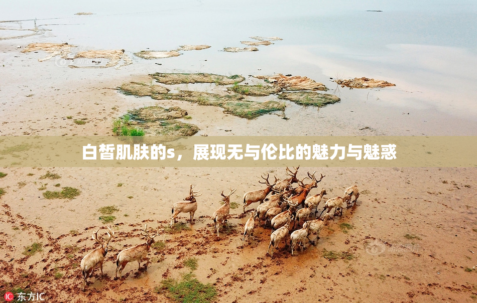 白皙肌肤的s，展现无与伦比的魅力与魅惑