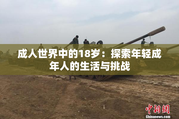 成人世界中的18岁：探索年轻成年人的生活与挑战
