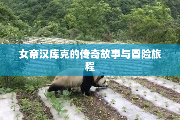 女帝汉库克的传奇故事与冒险旅程