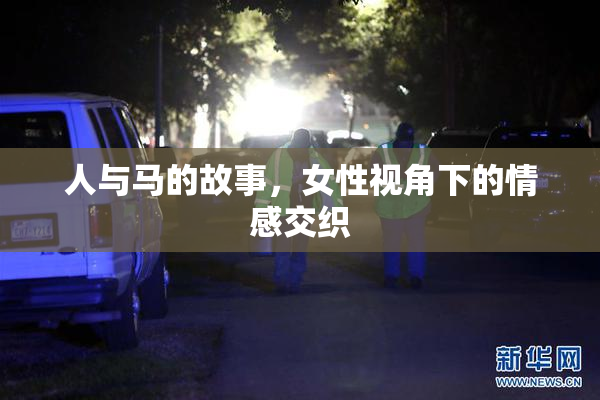 人与马的故事，女性视角下的情感交织