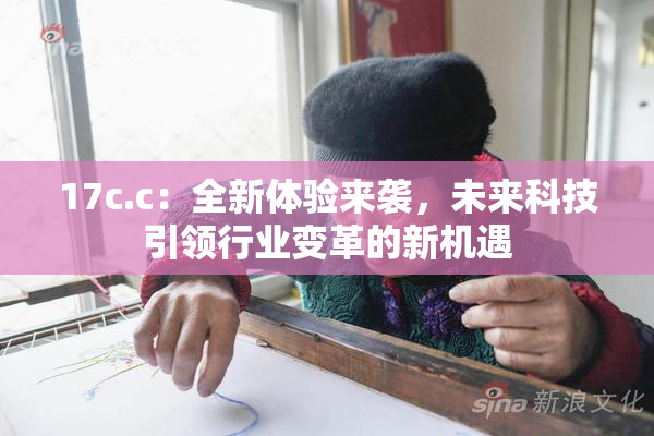 17c.c：全新体验来袭，未来科技引领行业变革的新机遇