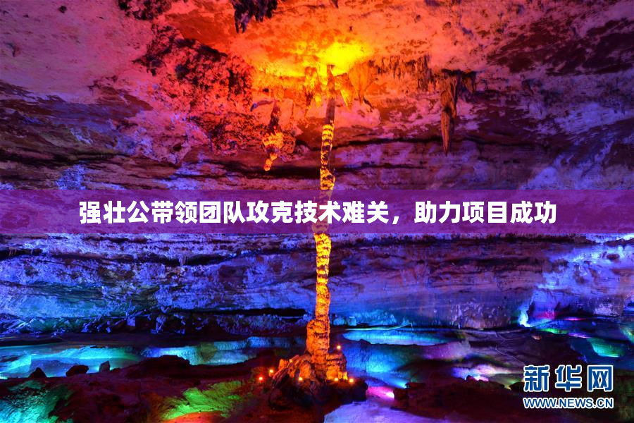 强壮公带领团队攻克技术难关，助力项目成功