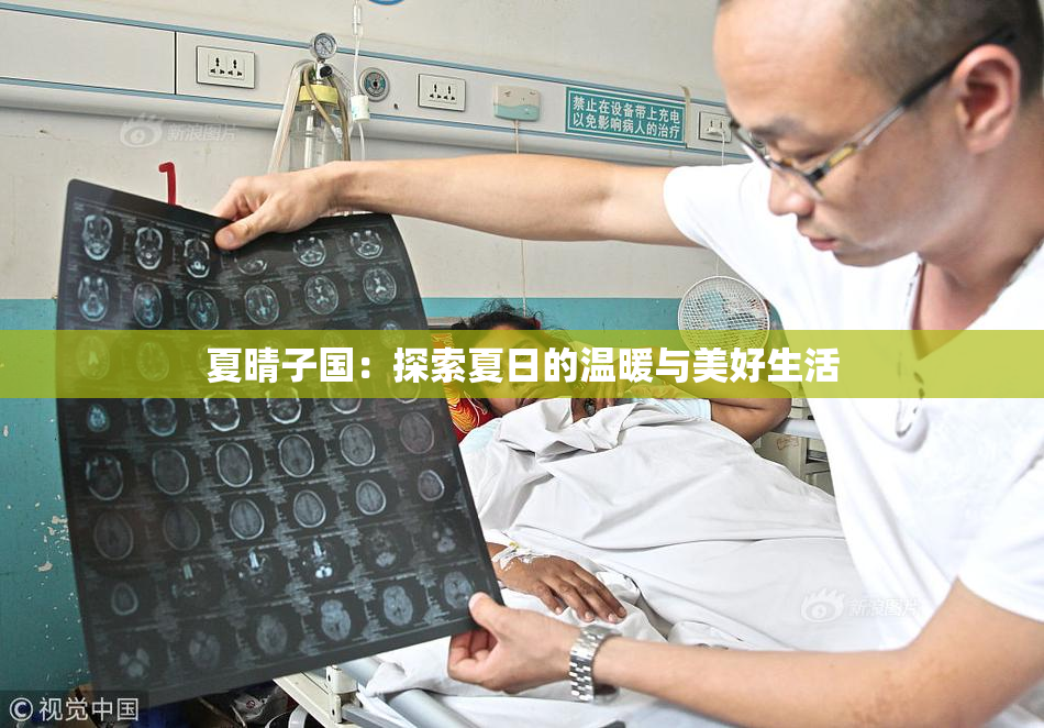 夏晴子国：探索夏日的温暖与美好生活