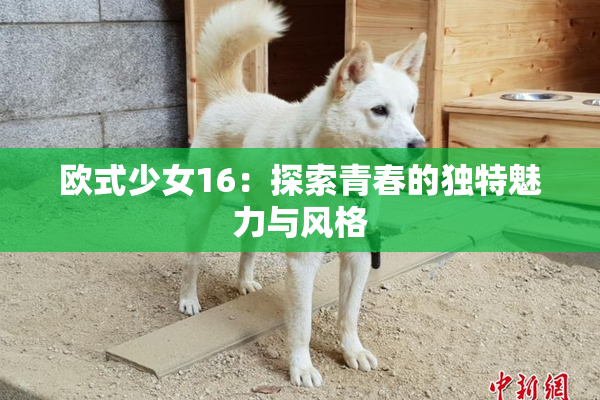 欧式少女16：探索青春的独特魅力与风格