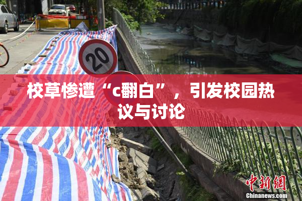 校草惨遭“c翻白”，引发校园热议与讨论