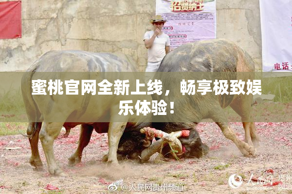 蜜桃官网全新上线，畅享极致娱乐体验！