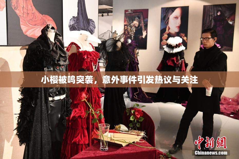 小樱被鸣突袭，意外事件引发热议与关注