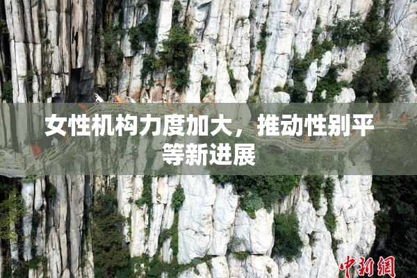 女性机构力度加大，推动性别平等新进展