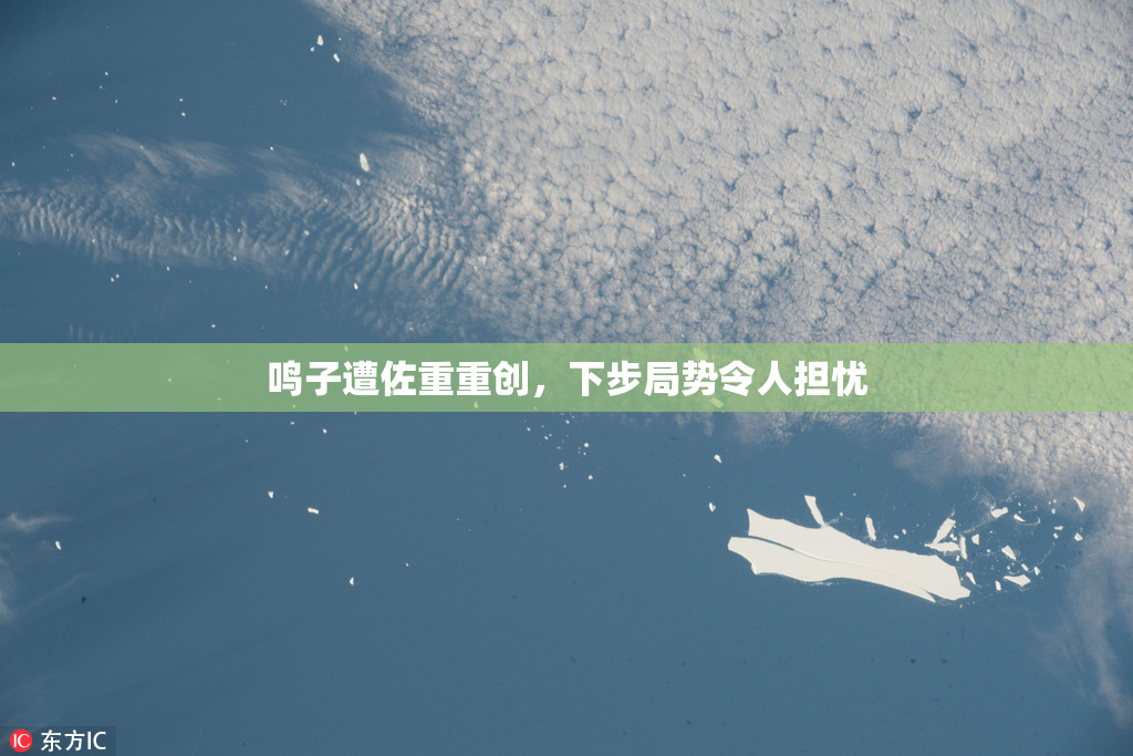 鸣子遭佐重重创，下步局势令人担忧