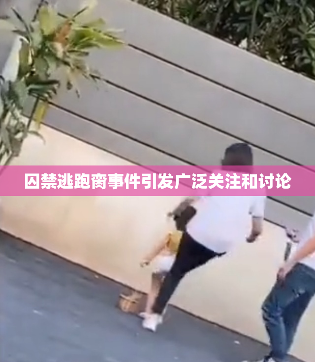 囚禁逃跑脔事件引发广泛关注和讨论