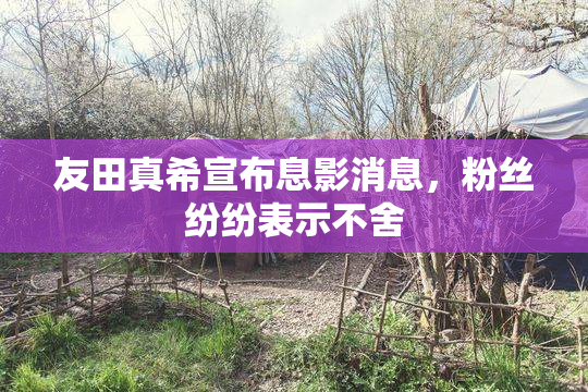 友田真希宣布息影消息，粉丝纷纷表示不舍