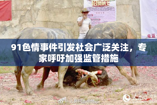 91色情事件引发社会广泛关注，专家呼吁加强监管措施