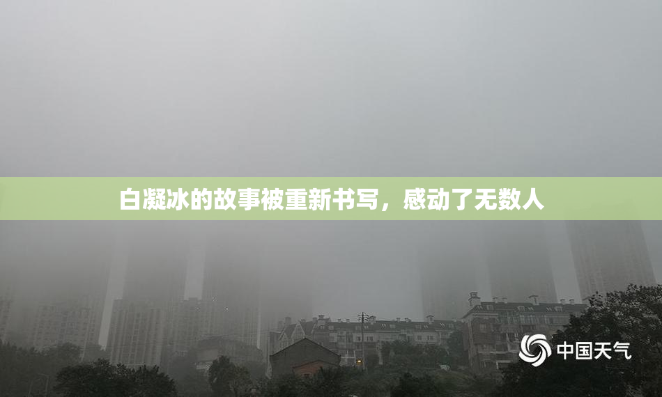 白凝冰的故事被重新书写，感动了无数人